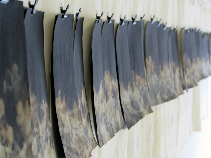 Lungo il sentiero un tappeto cricchiante di foglie secche